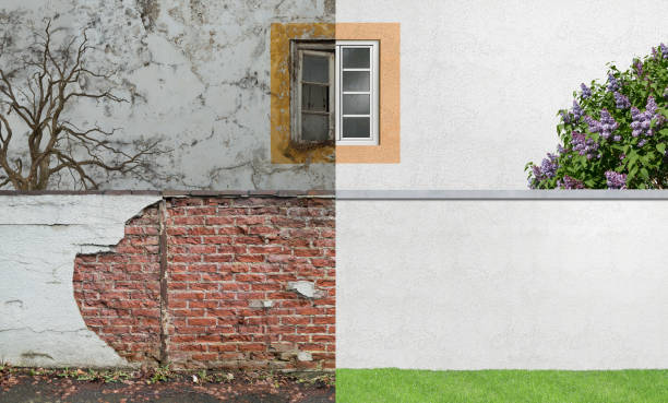 Professional Mold Removal in Boley, OK