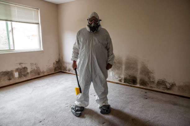 Mold Removal for HVAC Installations in Boley, OK